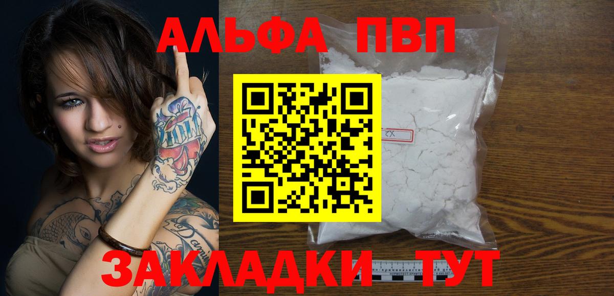 Alfa_PVP СК Гудермес