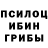 Псилоцибиновые грибы Psilocybe nAsTyA DaNgAnRoNpA