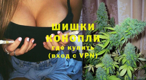 стафф Белокуриха