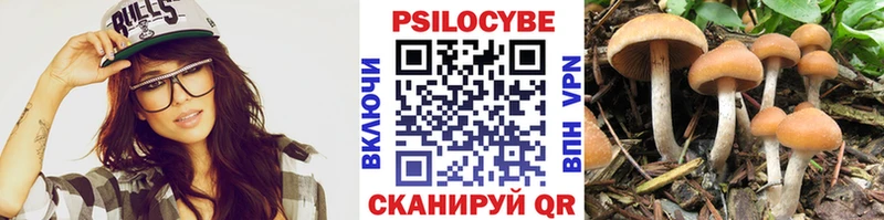 Галлюциногенные грибы ЛСД  где продают наркотики  Гудермес 