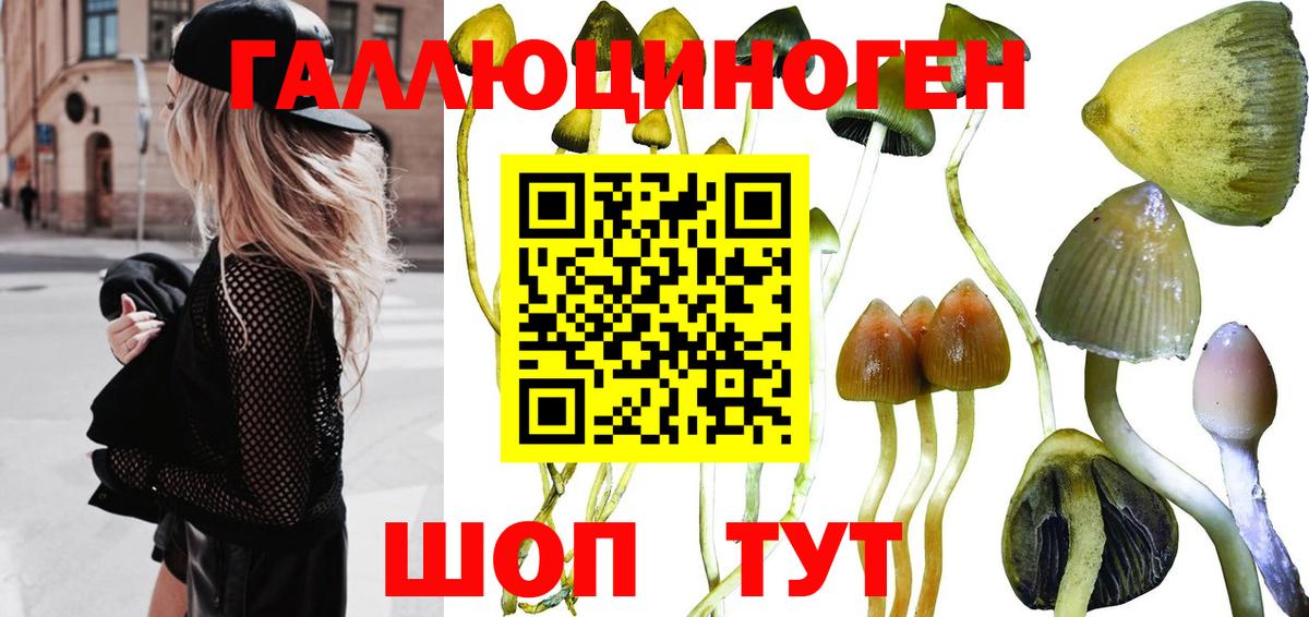 Галлюциногенные грибы мицелий  Гудермес 