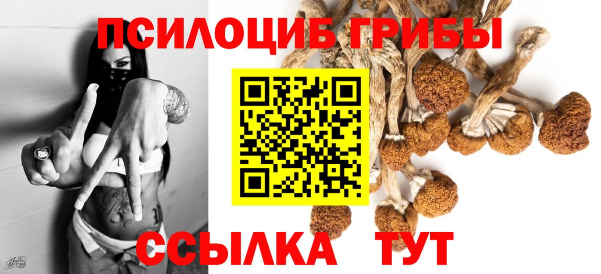 Псилоцибиновые грибы Cubensis  Вход с VPN  Гудермес 